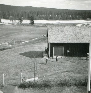 Vy från taket